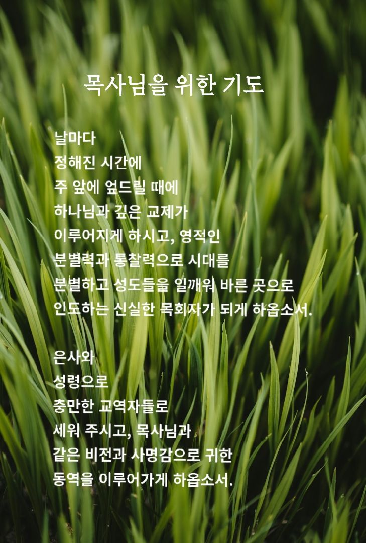카톡선교 