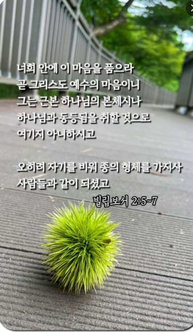카톡선교 