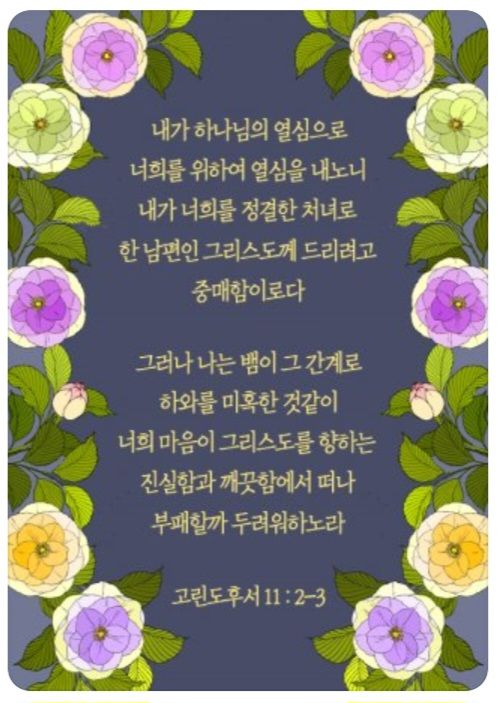 카톡선교 