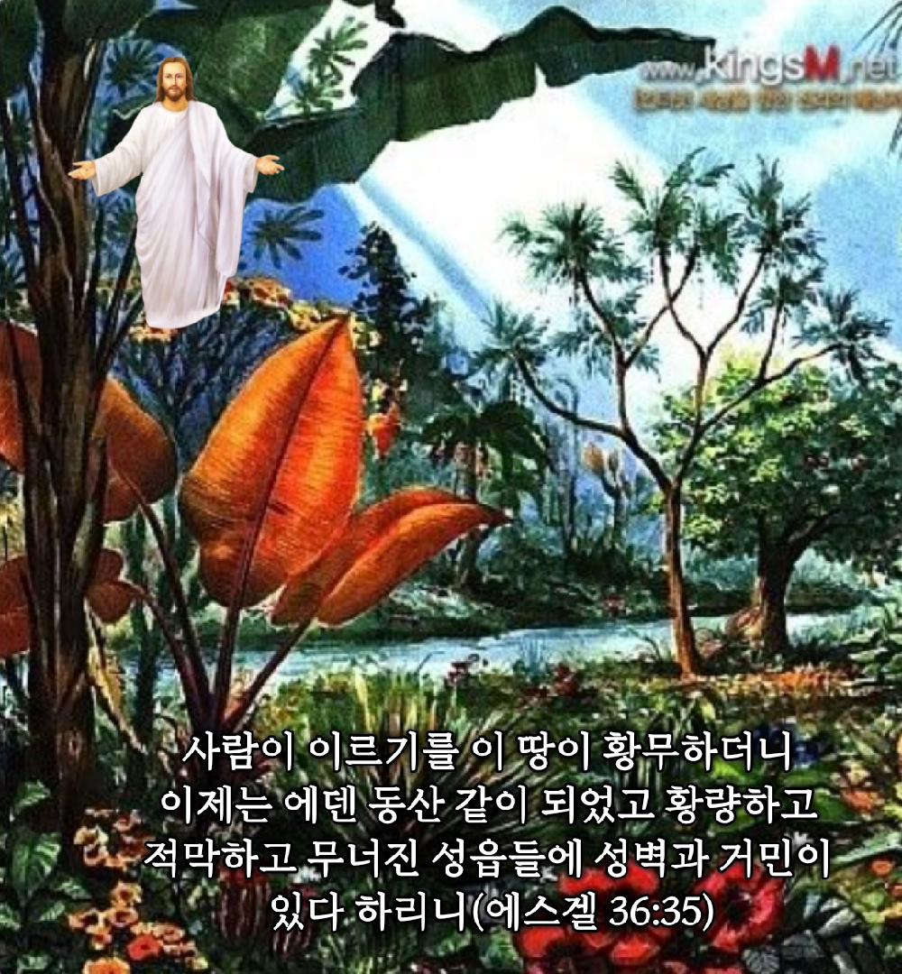 카톡선교 
