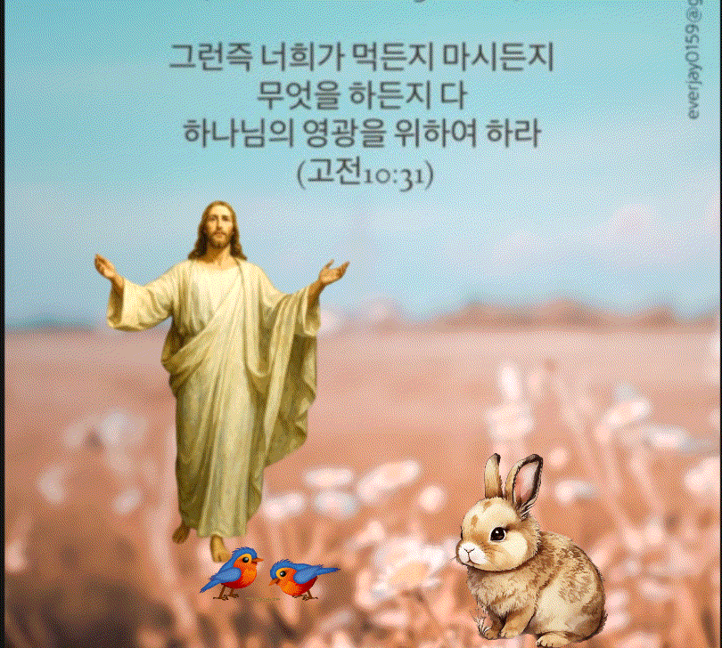 카톡선교 