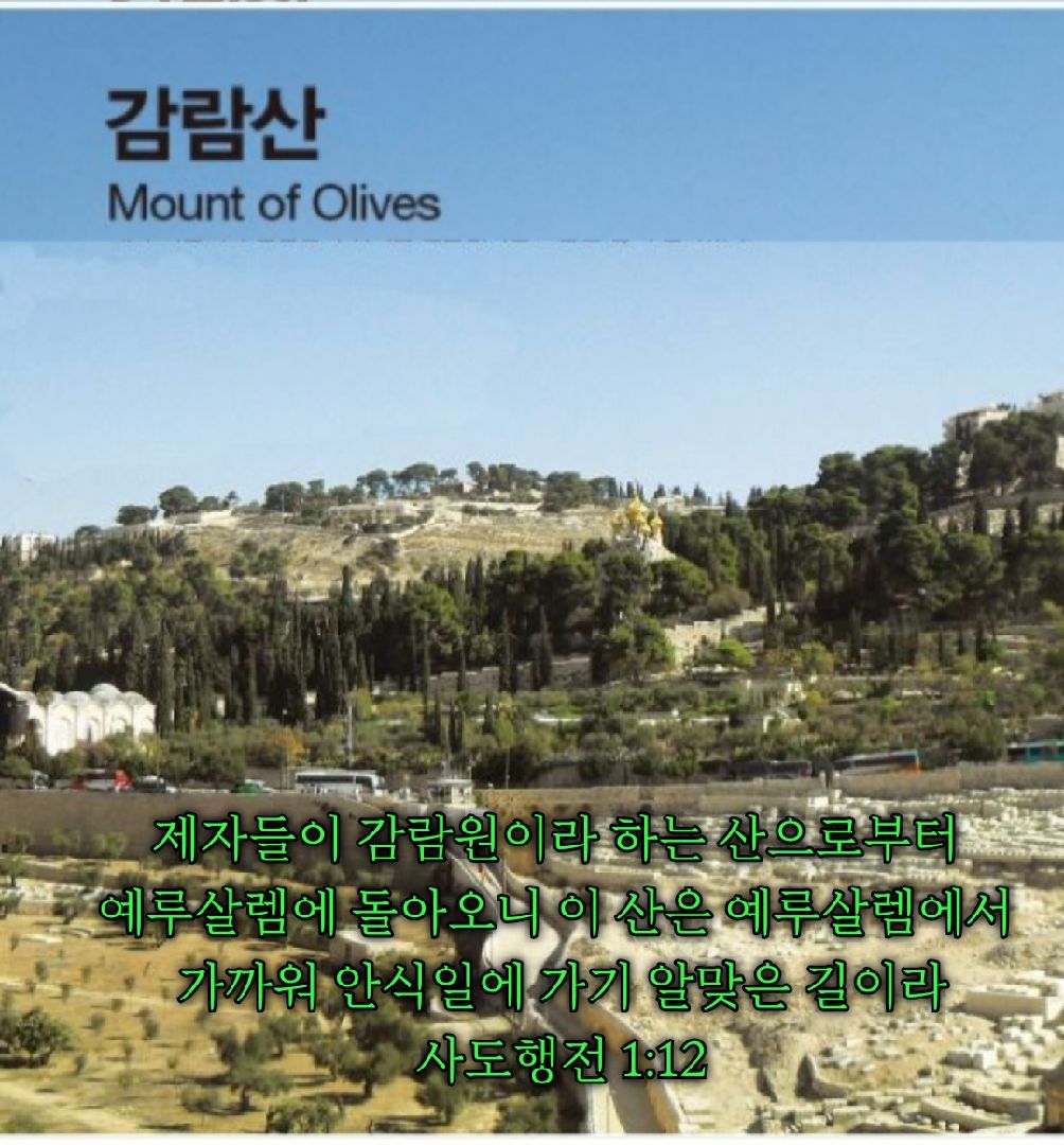 카톡선교 