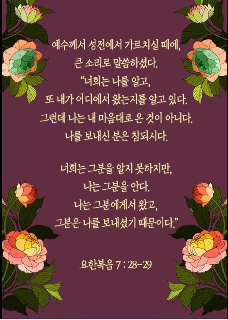 카톡선교 