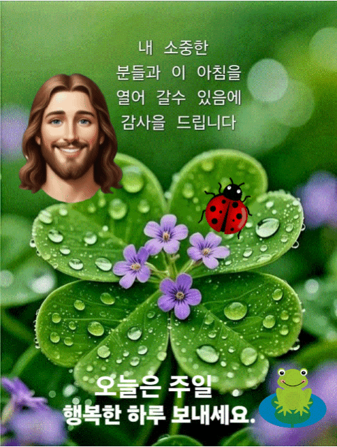 카톡선교 